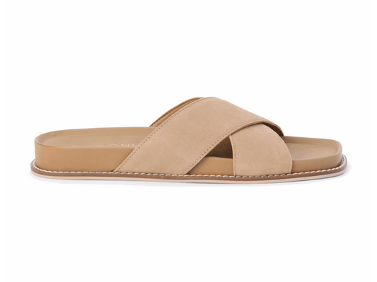 Coconuts by Matisse Hannah in Brown