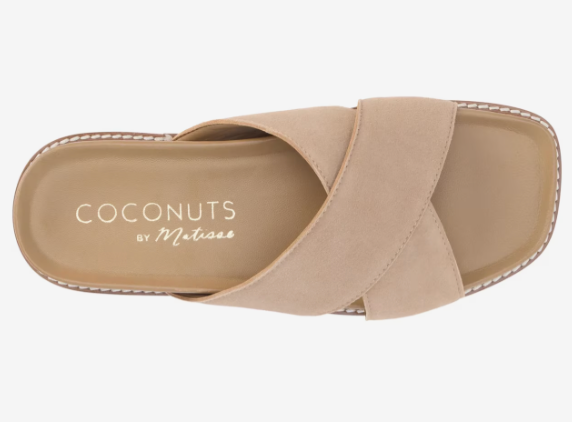 Coconuts by Matisse Hannah in Brown